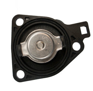 729-172 Thermostat with Housing