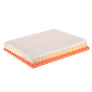 GAF10989 (ARR) Engine Air Filter