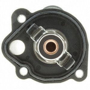 85994 (FSE) Thermostat With Housing